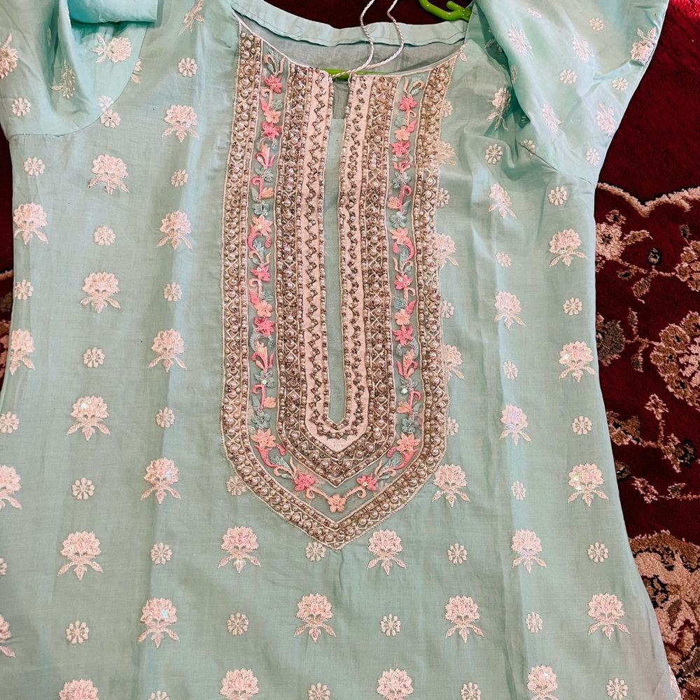 Pakistani dresses - Picture 6 of 12